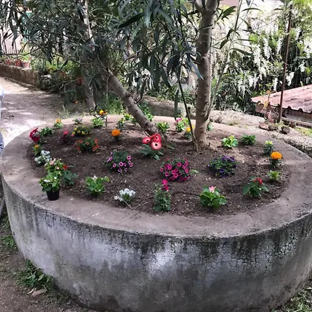 Il Giardino Di Vico Neve 3*