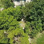 Il Giardino Di Vico Neve
