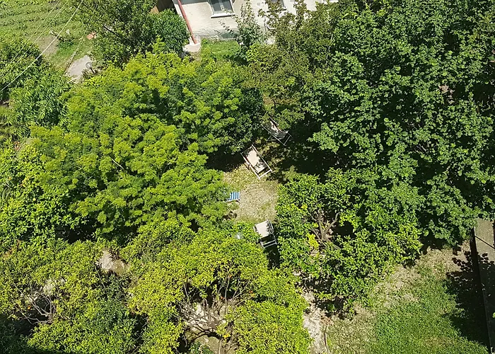 Il Giardino Di Vico Neve
